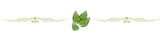 title-logo1