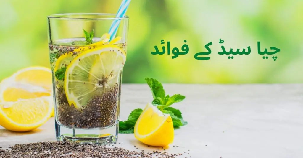 chia seeds benefits