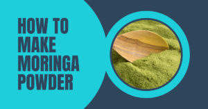 How to make moringa powder