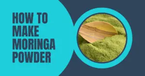 How to make moringa powder