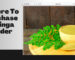 Moringa Powder